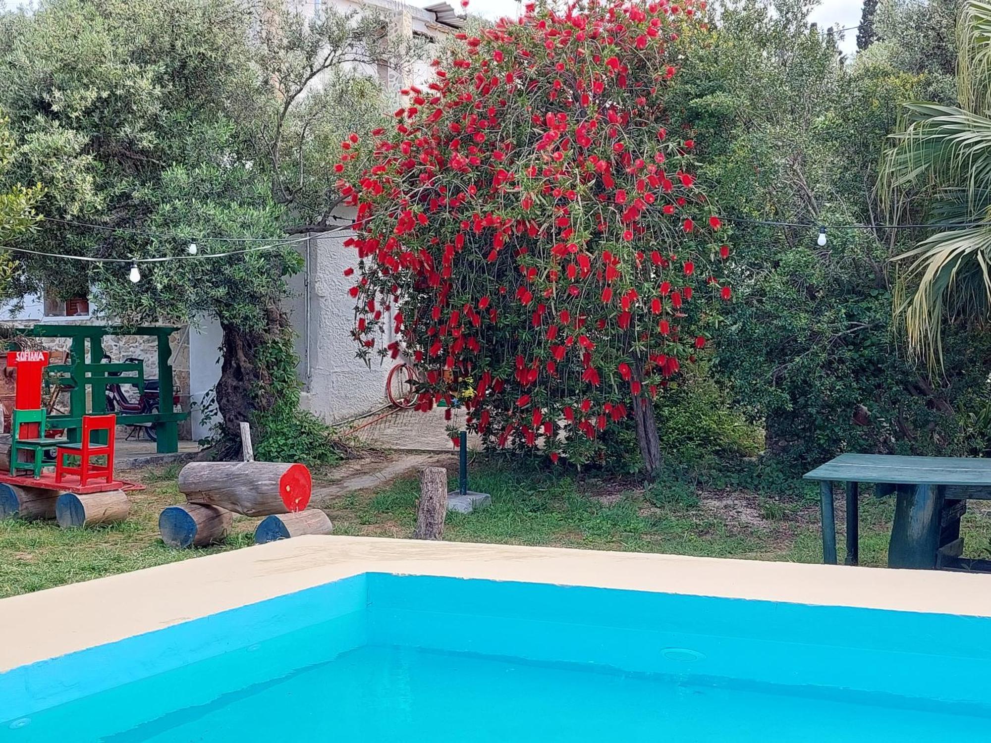 Sofiana'S Garden Retreat With Private Pool Leilighet Dhrapaniás Rom bilde